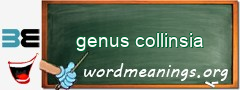 WordMeaning blackboard for genus collinsia